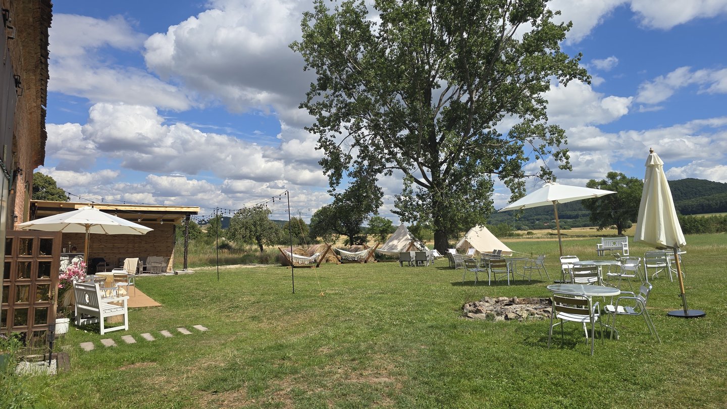 Łąka: parasole, leżaki, drzewo, stodoła z boku