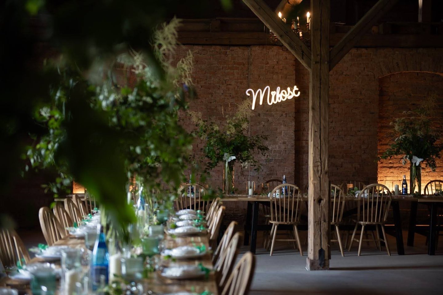 Stół z zielenią, neon „Miłość” w tle (1600 px)